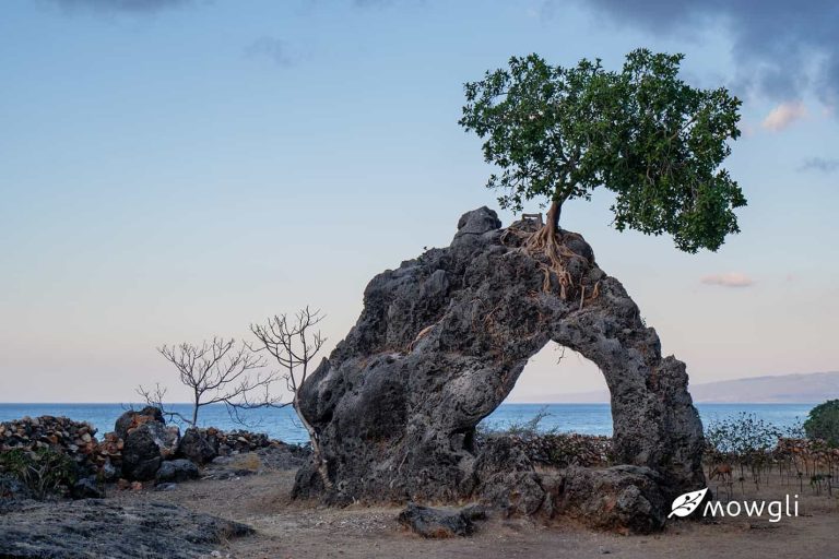 Green Village Leublora