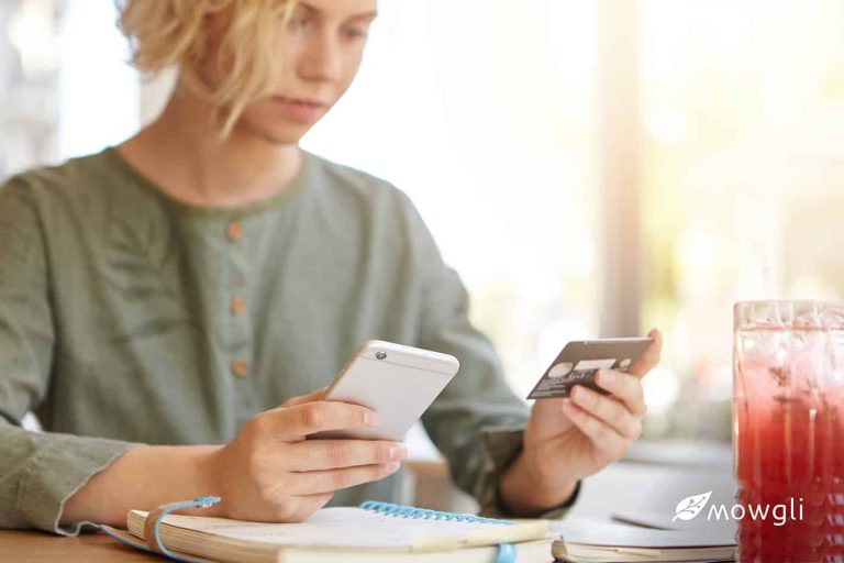 online payment business