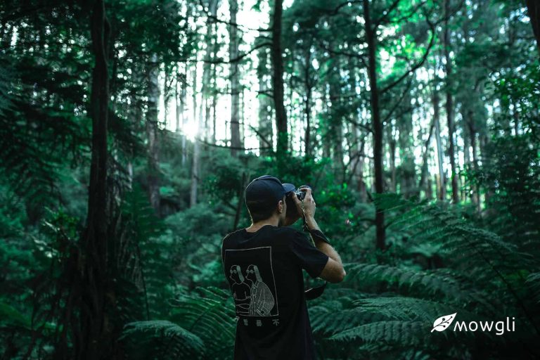 visual marketing | content marketing strategy